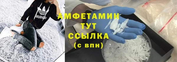твердый Магас