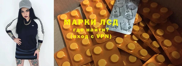 твердый Магас