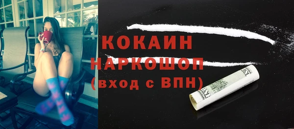 твердый Магас