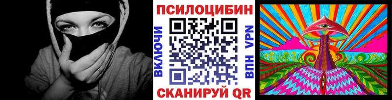 Псилоцибиновые грибы Cubensis  Юрга 