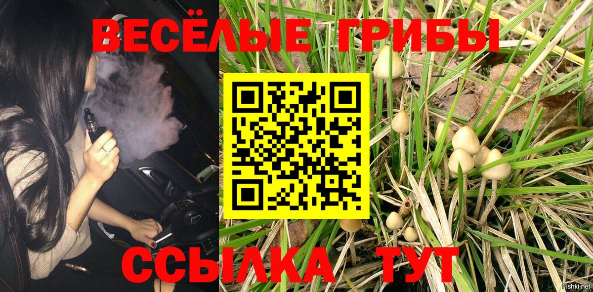 Юрга  Галлюциногенные грибы Cubensis  Вход с VPN 