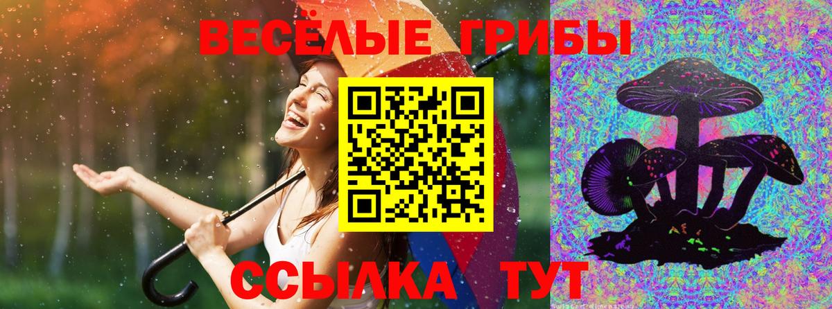 А ПВП Юрга
